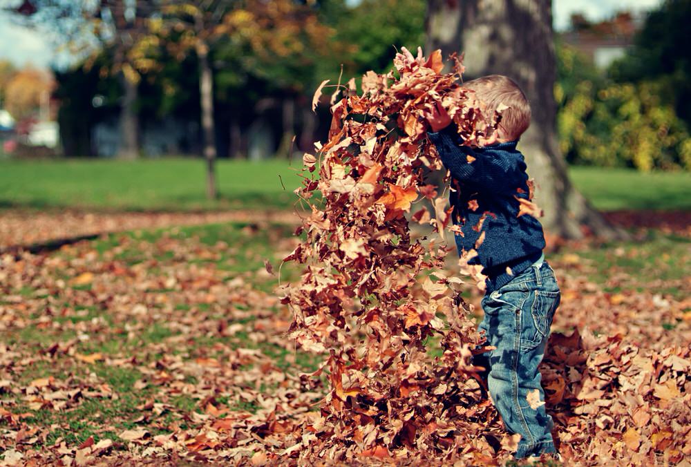 autumn bucket list for kids